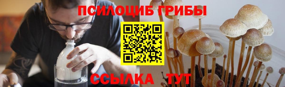 Галлюциногенные грибы Psilocybine cubensis  Вход с VPN  Добрянка  Галлюциногенные грибы ЛСД 